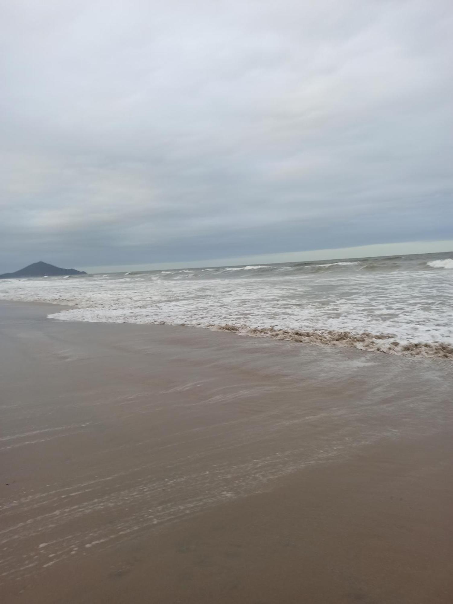 Coruja Praiana